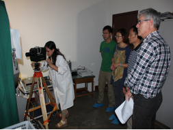 é«ä½å¹è½¦ç¯emarkè®¤è¯